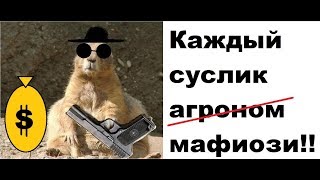 Главный мафиози и решала Ташлинского района.