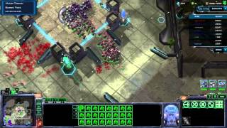 Marine Arena [Starcraft 2]