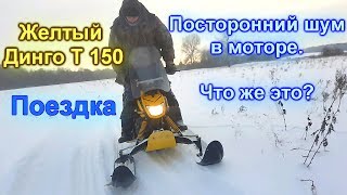 Снегоход Динго Т 150.  Желтый.  Поездка.  Появление постороннего шума.  Что это может быть?
