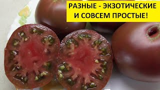 НОВИНКИ 2020. ЧАСТЬ 4. 
