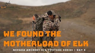 NV Archery Elk Day 8...We Found the MOTHERLOAD
