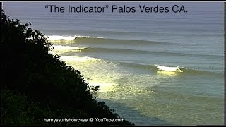 "The Indicator" Palos Verdes CA. 9-15 foot wave faces - surfing
