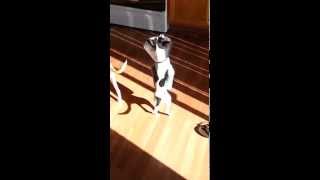 Learned how to get through the door