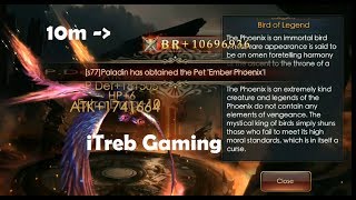 Legacy of Discord : Furious Wings - Qutting ? | Cooking Event Glitch