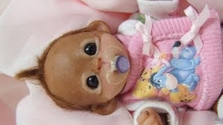 Opening My Small Baby Monkey Doll