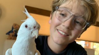 Bird falls in love with dog