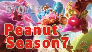 SKT T1 Peanut Ivern Jungle vs Leesin Patch 7.8