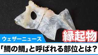 縁起物としても重宝された「鯛の鯛」とは