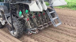 Transplanting Onions UK PlantTape