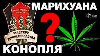КОНОПЛЯ ЗАПРЕЩЕНА НЕФТЯНЫМИ МАГНАТАМИ. Как прикрыли САМОЕ ПОЛЕЗНОЕ РАСТЕНИЕ в мире