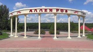 Аллея роз в городе Бахмуте. Rose Alley in the city Bahmut.