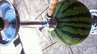 Shisha Fruit Contest #04