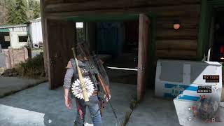 Days Gone: New Patch 1.06 PS4 Pro 1080p