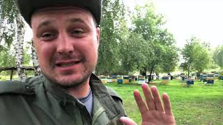 Пасека.  Один день из жизни пасечника