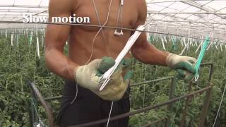 plant laten zakken