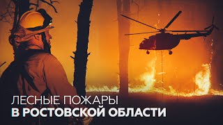 В Ростовской области из-за пожаров погибли два человека и 46 пострадали