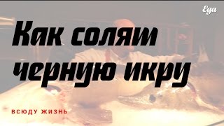 Как солят черную икру