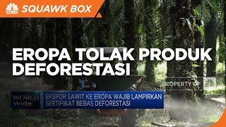 Eropa Tolak Produk Deforestasi