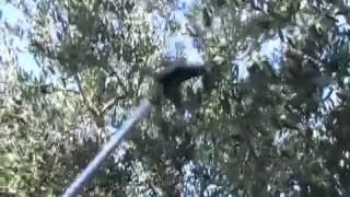 ΕΛΑΙΟΣΥΛΛΕΚΤΙΚΟ KARBONIUM EVO ZANON ΑΓΡΟΜΕΞ ΑΕΒΕ