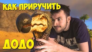 КАК ПРИРУЧИТЬ ДОДО в ARK