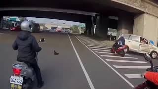 Idiots Driving Cars #19 Road Rage, Instant Karma Driving, Car Fails, Hit and Run, Bad Drivers