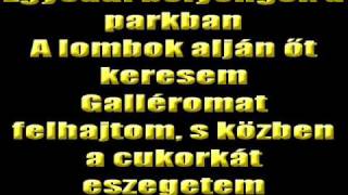 Hungária -  Eszelős szerelem karaoke verzió