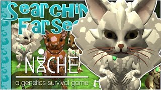 A Purring Circle of Healing?! ? Niche: Searching the Farseas • #10