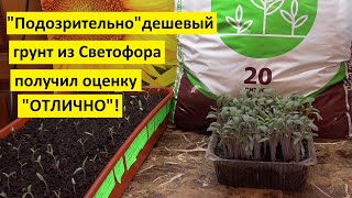 Магазинный грунт для рассады протестирован и показал высокое качество. Буду его использовать!
