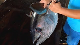 How To Butcher a Whole Bigeye Tuna for SUSHI & SASHIMI meal