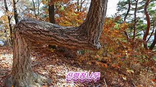▣  괴산 산막이옛길 트레킹-한국인이 꼭 가봐야할 한국관광 100선