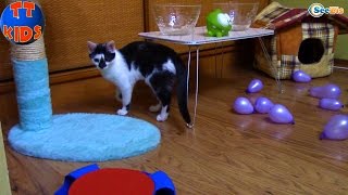 ВЛОГ Видео для детей Орбиз сюрпризы игрушки для Котенка - Ярослава и разноцветные шарики ORBEEZ