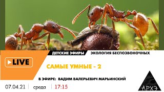 Детский эфир "Самые умные - 2" рубрики "Экология беспозвоночных" с Вадимом Марьинским