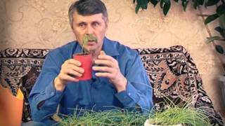 2204 Во Саду Ли В Огороде