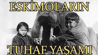 Eskimolar Nasıl Yaşar? Eskimo Belgeseli | Nanook of The North