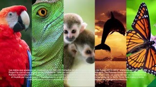Los 15 desafíos globales de la humanidad