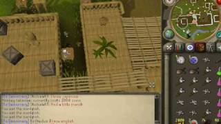 RuneScape - Pre-EOC - GreeGree Making 101