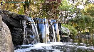 37 surah in 37 minutes - One of the World's Best Quick Quran Recitation in 50+ Languages