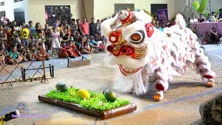 Múa Lân Địa Bửu Hay Nhất lễ hội Lân Sư Rồng Vũng Tàu 2019 / LSR Phúc Nghĩa Đường
