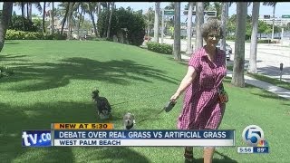 Debate over real grass vc artificial grass