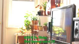 fix sony a6300 a6500 rolling shutter