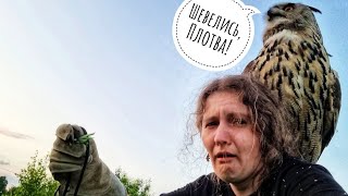 Сова в цветах, я в сове, когти совы во мне. Когда забыла, что зимой между спиной и совой была куртка