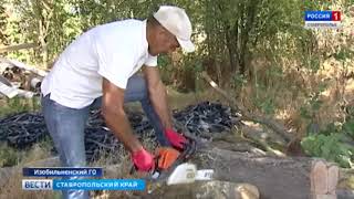Что нам стоит дом построить