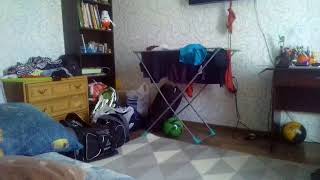 Что вам больше нравится 5 ночей с Фреди или бенди и чернильная машина