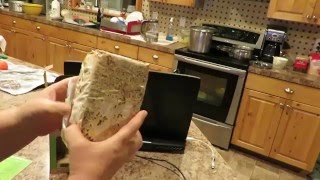 растим грибы....growing mashrooms