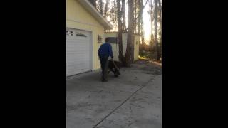#3Gene the Bionic AK.amputee showing the IBEW he can work