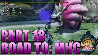 Q&A Video(s)? | #MH3U Road to: MHC [Part 18]