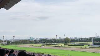 アカノニジュウイチ メイクデビュー東京 新馬戦 東京競馬場 欅〜ゴール
