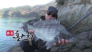 낚시는 즐거워 [환희] 煥喜 노대도 집터자리 대물감성돔