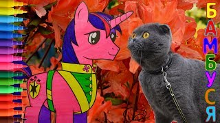 My Little Pony - Shining Armor! Мой Маленький Пони - Шайнинг Армор!