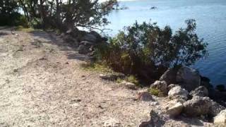 Black point marina fishing